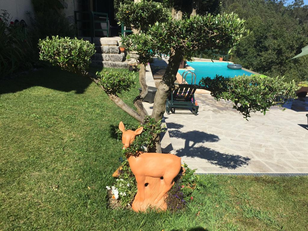 Quinta Paraiso Do Ermal Vieira do Minho Εξωτερικό φωτογραφία