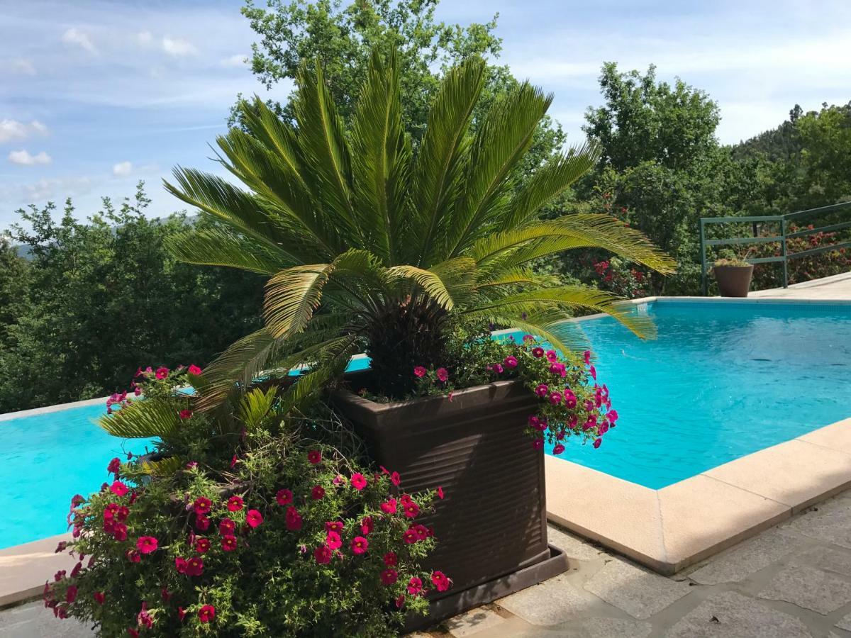 Quinta Paraiso Do Ermal Vieira do Minho Εξωτερικό φωτογραφία